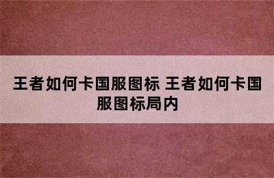 王者如何卡国服图标 王者如何卡国服图标局内